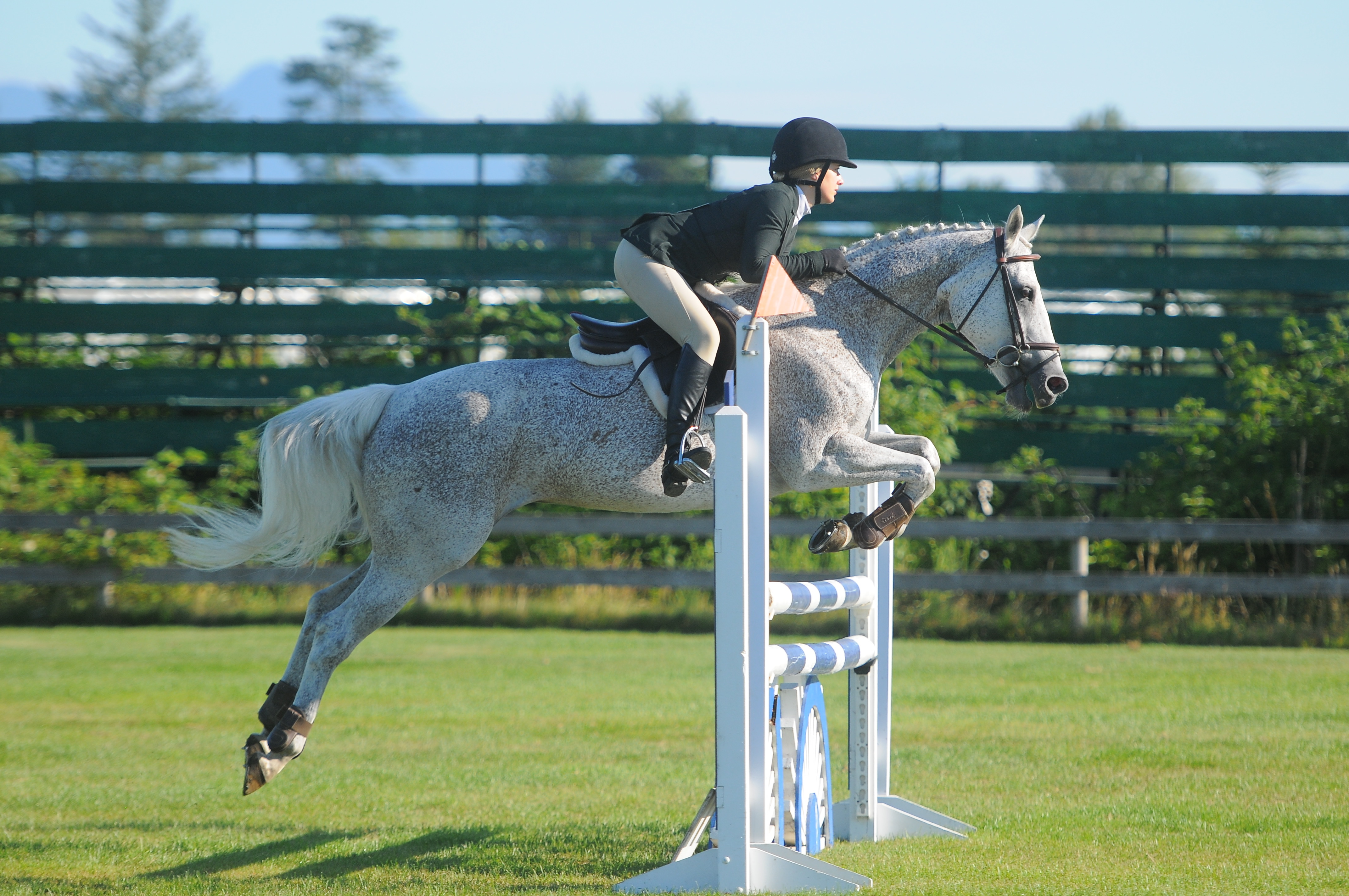 Vanessa Waugh on horseback clearing a jump at a showjumping competition
